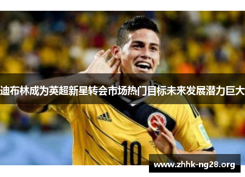 迪布林成为英超新星转会市场热门目标未来发展潜力巨大 迪布林成为英超新星转会市场热门目标未来发展潜力巨大